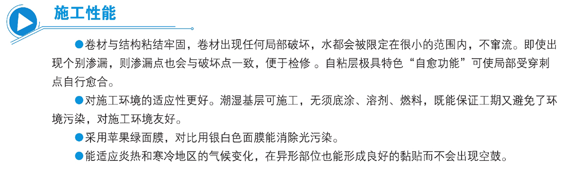 快速反应粘强力交叉膜自粘防水卷材(图2)